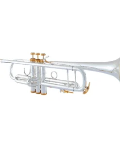 Bach 180S Stradivarius 37 Bell Custom Series Professionelle Bb-Trompete